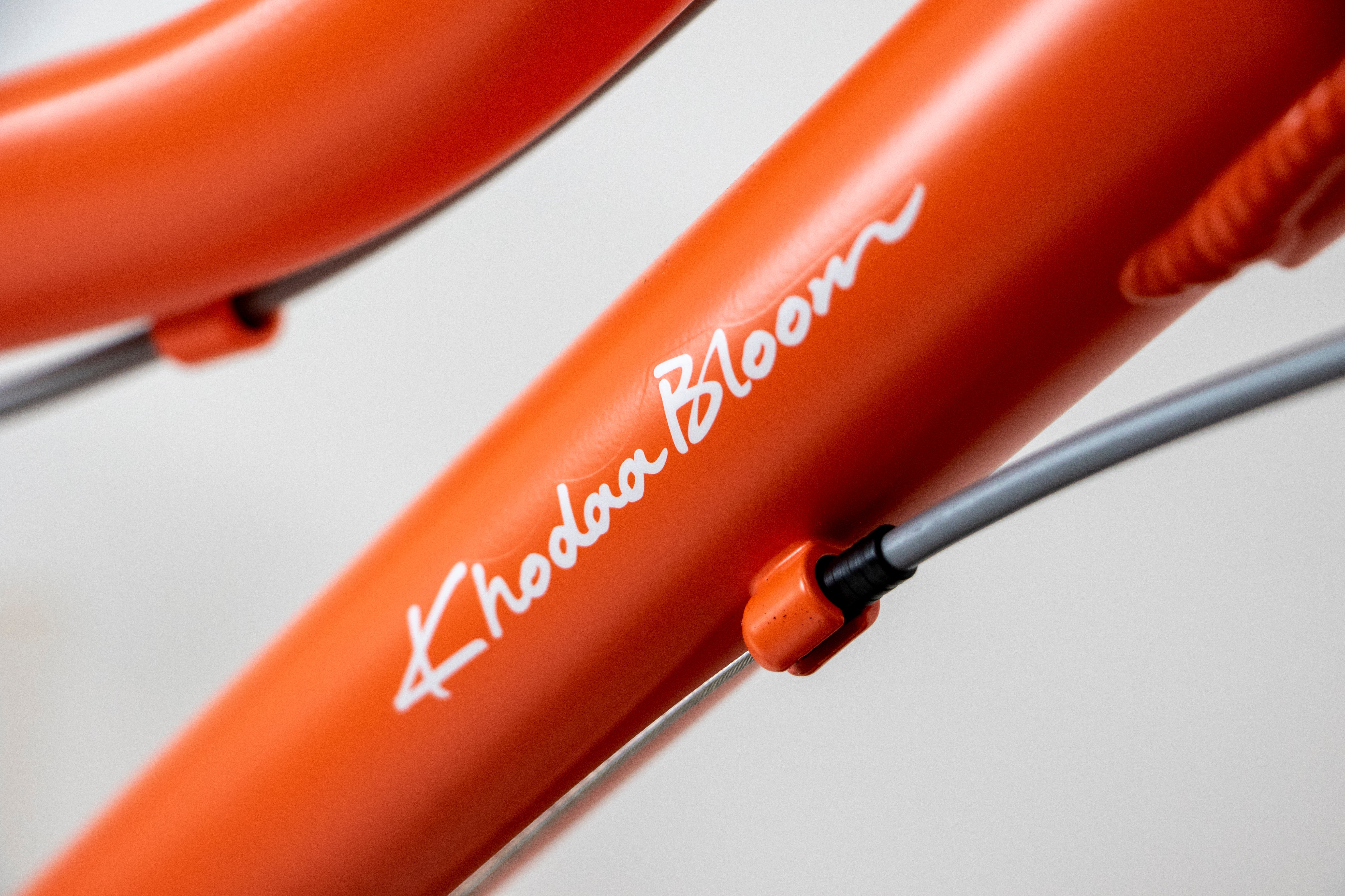 KhodaaBloom コーダーブルーム asson J24 asson J24 - KhodaaBloom